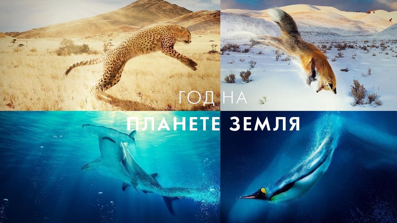 Скріншот
